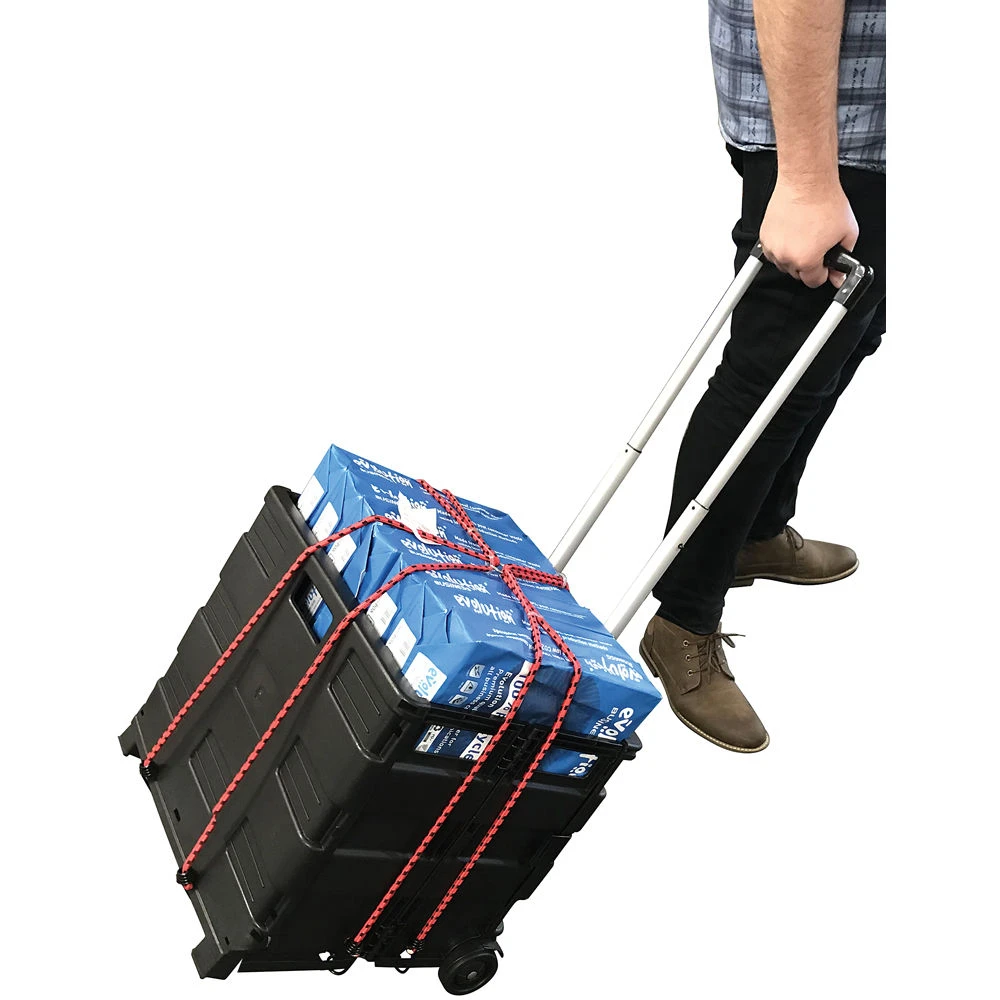 8 Claw Spider Luggage Elastics - Image 2